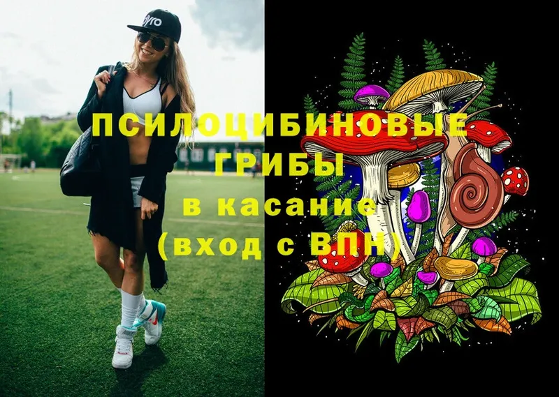 Галлюциногенные грибы Magic Shrooms  это клад  Десногорск 